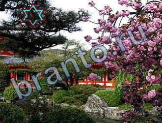 ответы на игру Найди животных Уровень 1686