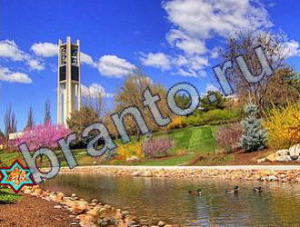 Найди животных Ответы Уровень 1689