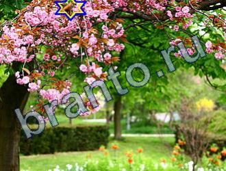 ответы на игру Найди животных Уровень 1690