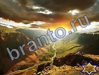 ответы на игру Найди животных Уровень 1692