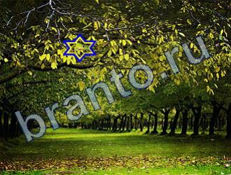 Игра Найди животных ответы Уровень 1693