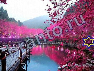 ответы на игру Найди животное Уровень 1695