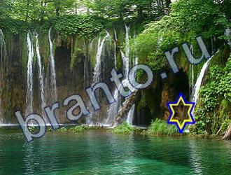 ответы на игру Найди животных Уровень 1696