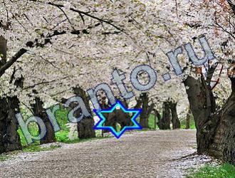 ответы на игру Найди животных Уровень 1698