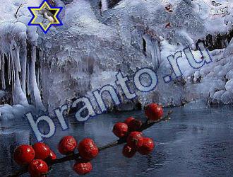 ответы на игру Найди животных Уровень 1702