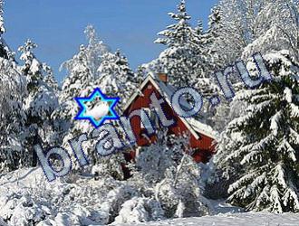 Найди животных решебник Уровень 1705