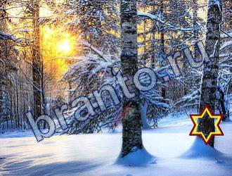 ответы на игру Найди животных Уровень 1706