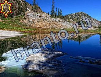 ответы на игру Найди животных Уровень 1707