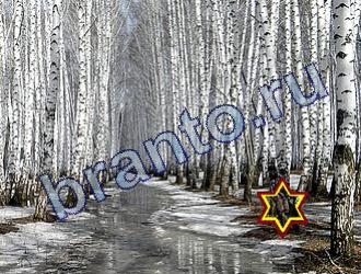 ответы на игру Найди животных Уровень 1709