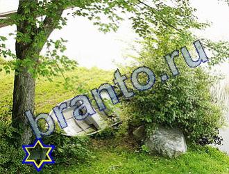 ответы на игру Найди животных Уровень 1713