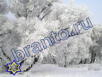 ответы на игру Найди животных Уровень 1714