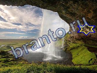 ответы на игру Найди животных Уровень 1716