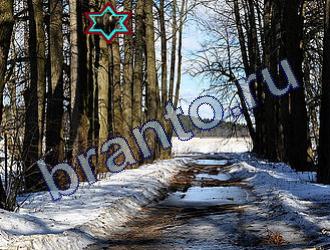 ответы на игру Найди животных Уровень 1717