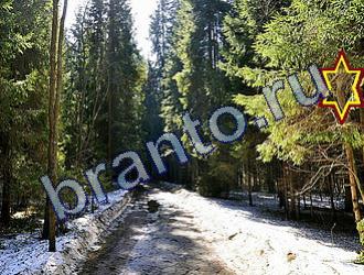 ответы на игру Найди животных Уровень 1718