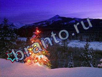 ответы на игру Найди животных Уровень 1719