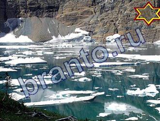 ответы на игру Найди животных Уровень 1722