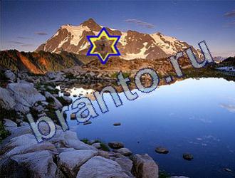 ответы на игру Найди животных Уровень 1724