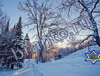 ответы на игру Найди животных Уровень 1726