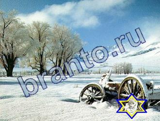 ответы на игру Найди животных Уровень 1727