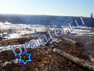 подсказки к игре Найди животных Уровень 1728