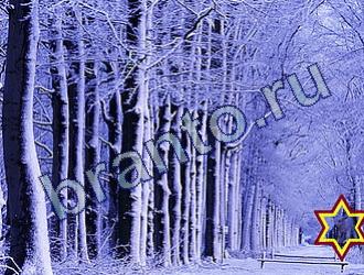 ответы на игру Найди животных Уровень 1730