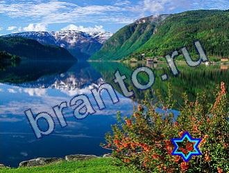 Найди животных ответы на игру Уровень 1731