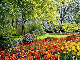 ответы к игре Найди животных Уровень 1733