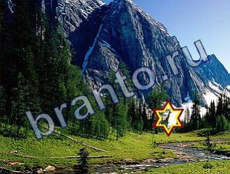 Найди животных Уровень 1737