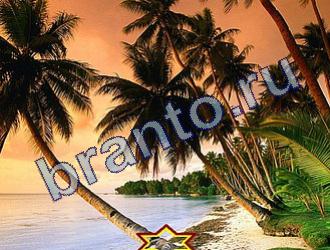 ответы на игру Найди животных Уровень 1738