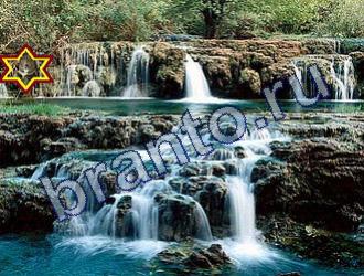 Найди животных Ответы Уровень 1739