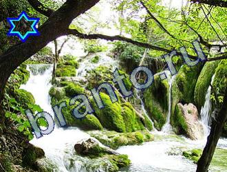 ответы на игру Найди животных Уровень 1740