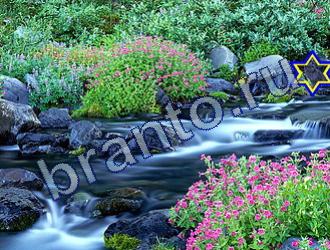 Найди животных подсказки Уровень 1741