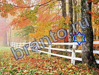 ответы на игру Найди животных одноклассники Уровень 1748