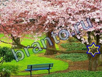 помощь на игру Найди животных Уровень 1749