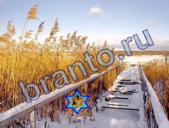 Найди животных игра ответы Уровень 1751