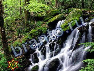 ответы на игру Найди животных Уровень 1752