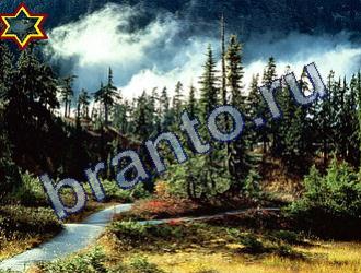 подсказки к игре Найди животных Уровень 1753