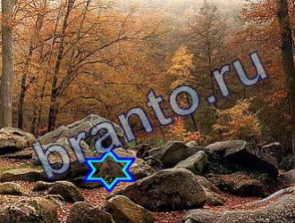 ответы на игру Найди животных Уровень 1754