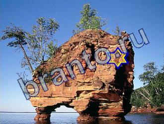 ответы на игру Найди животных Уровень 1756