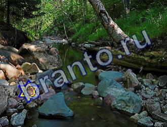 ответы на игру Найди животных Уровень 1757