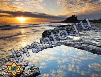 Найди животных подсказки в одноклассниках Уровень 1758