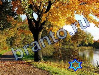 ответы на игру Найди животных Уровень 1759