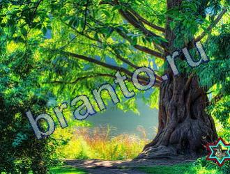 Игра Найди животных ответы Уровень 1760