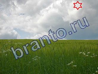 ответы на игру Найди животных Уровень 1761