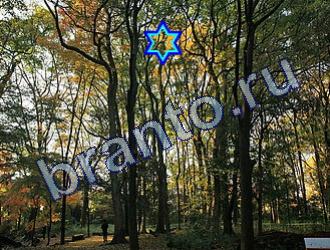 ответы на игру Найди животных Уровень 1762