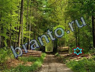 ответы на игру Найди животных Уровень 1763