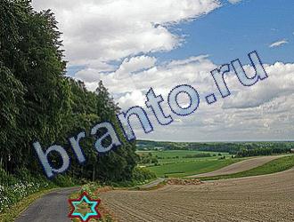 ответы на игру Найди животных Уровень 1766