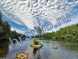 ответы на игру Найди животных Уровень 1767