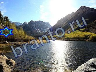 ответы на игру Найди животных Уровень 1770