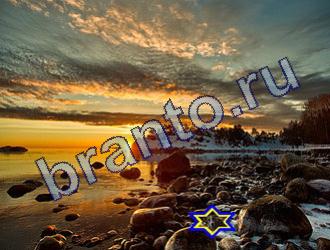 ответы на игру Найди животных Уровень 1771